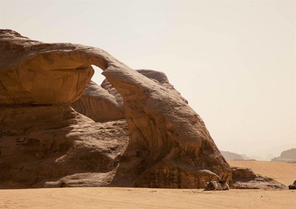 Wadi Rum Caravan Camp Ngoại thất bức ảnh
